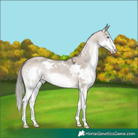 Horse Color:White Spotted Liver Red Dun Roan Mushroom Splash 
