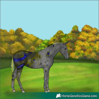 Horse Color:ERROR: UNKNOWN ANOMALY