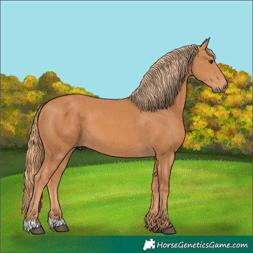 Horse Color:Chestnut 