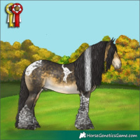 Horse Color:Buckskin Mushroom Tobiano 