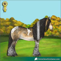 Horse Color:Buckskin Mushroom Tobiano 
