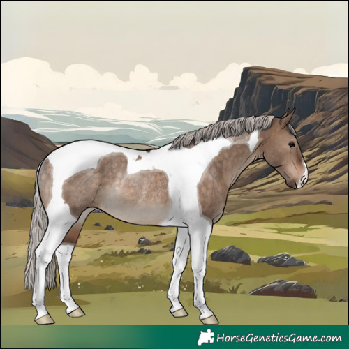 Horse Color:Silver Brown Dun Tobiano Rabicano 