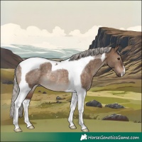 Horse Color:Silver Brown Dun Tobiano Rabicano
