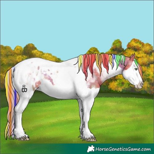 Horse Color:Painted Nacre Gold Champagne Splash Tobiano Appaloosa 
