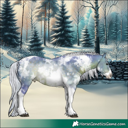 Horse Color:Watercolor White Spotted Silver Brown Ice Tobiano Frame 
