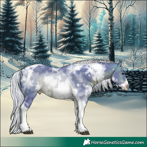 Horse Color:Watercolor White Spotted Silver Brown Ice Tobiano Frame 