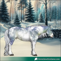 Horse Color:Watercolor White Spotted Silver Brown Ice Tobiano Frame 