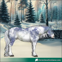 Horse Color:Watercolor White Spotted Silver Brown Ice Tobiano Frame