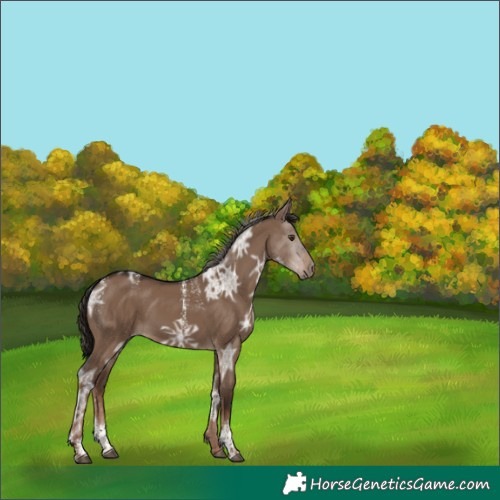 Horse Color:Powder White Liver Red Dun Ice 