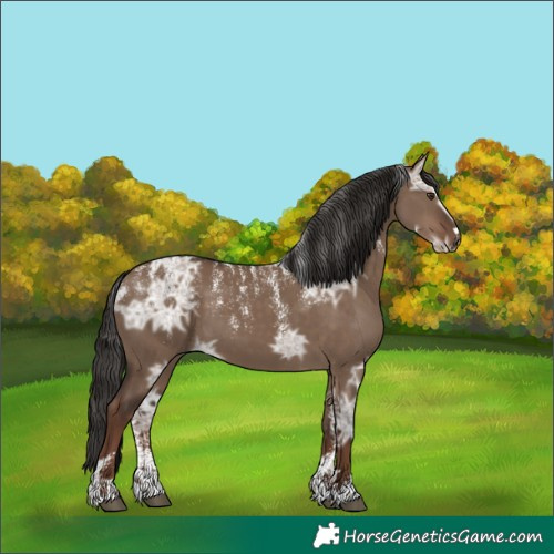 Horse Color:Powder White Liver Red Dun Ice 