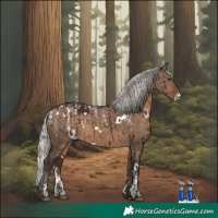 Horse Color:Powder White White Spotted Silver Brown Dun Brindle
