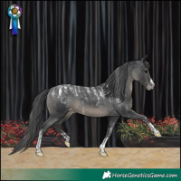 Horse Color:Powder White Black Appaloosa 