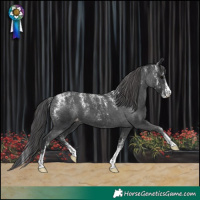 Horse Color:Powder White Black Appaloosa