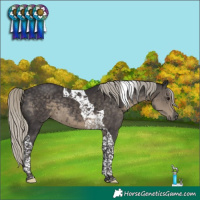 Horse Color:Silver Smoky Black Tobiano 