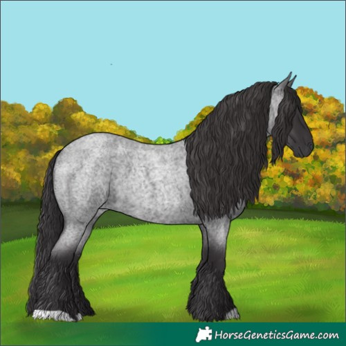 Horse Color:Smoky Blue Roan 