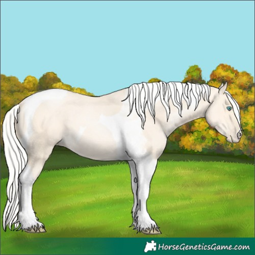Horse Color:Silver Buckskin Pearl Tobiano 