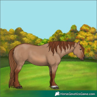 Horse Color:Red Dun 