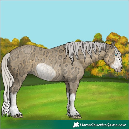 Horse Color:White Spotted Silver Classic Cream Champagne Ice Splash Frame 