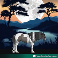 Horse Color:Grullo Tobiano