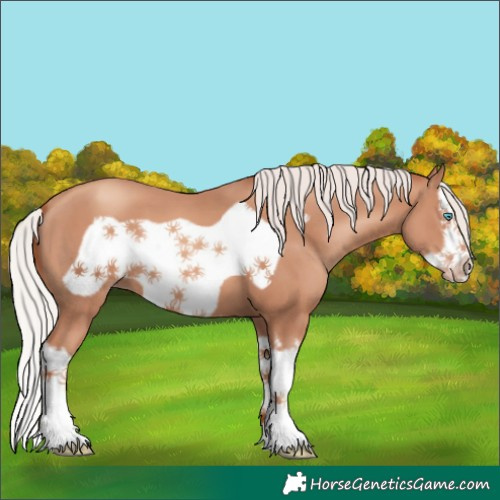 Horse Color:White Spotted Silver Classic Champagne Splash Frame 