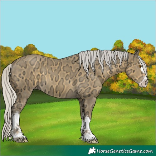 Horse Color:White Spotted Silver Classic Cream Champagne Ice Splash 