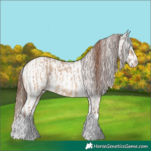 Horse Color:Red Dun Splash and Red Dun Splash