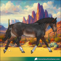 Horse Color:Brown Tobiano