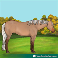 Horse Color:Silver Bay Dun 