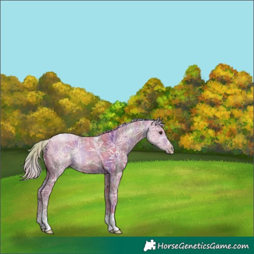 Horse Color:Nacre Watercolor Liver Chestnut Ice 