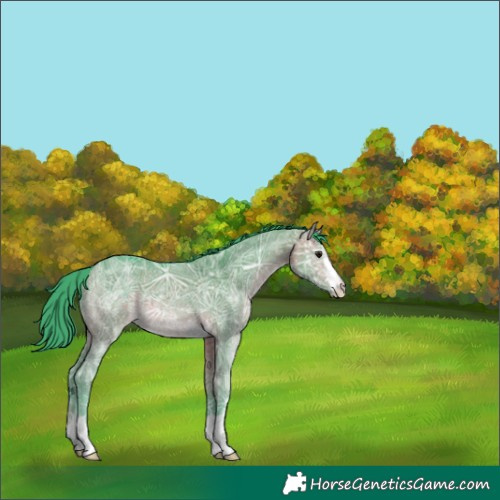 Horse Color:Watercolor Brown Ice Dun 