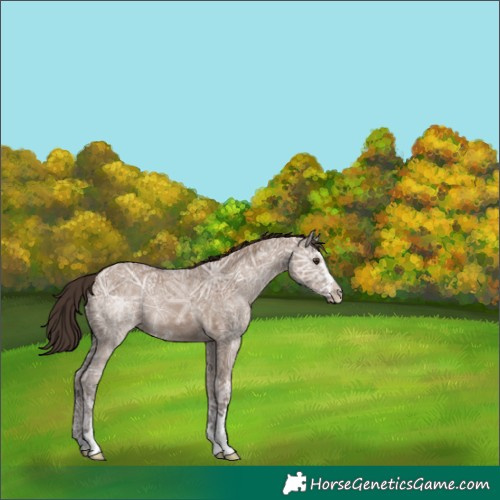 Horse Color:Liver Red Dun Ice 