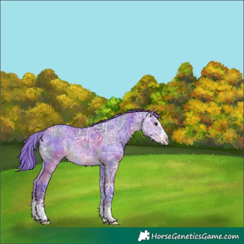 Horse Color:Nacre Watercolor Liver Red Dun Ice 