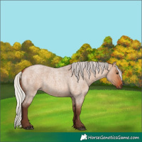 Horse Color:Silver Bay Roan Dun 