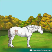 Horse Color:White Spotted Classic Champagne Splash Tobiano Rabicano