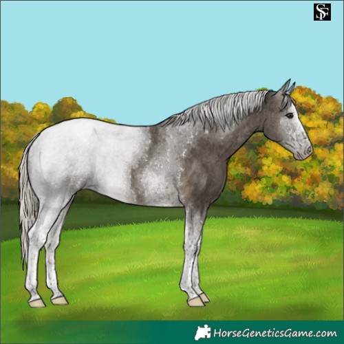Horse Color:Silver Smoky Black Tobiano 