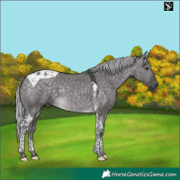 Horse Color:Platinum Silver Buckskin Dun Tobiano 