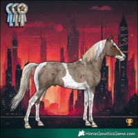 Horse Color:Chocolate Palomino Roan Splash Tobiano