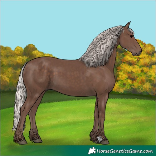 Horse Color:Silver Black 
