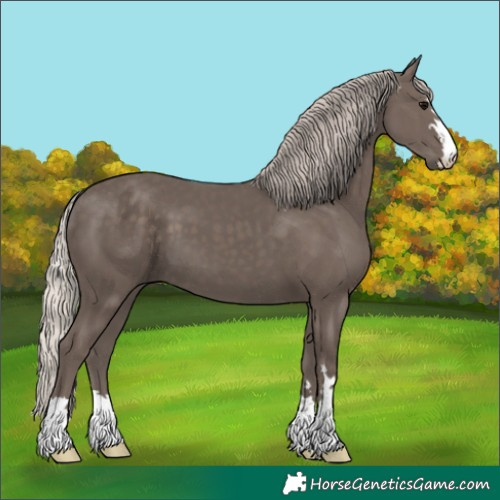 Horse Color:Silver Black