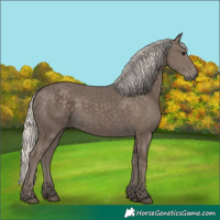 Horse Color:Silver Black 