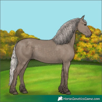 Horse Color:Silver Grullo
