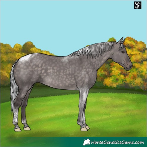 Horse Color:Platinum Silver Brown Dun Tobiano
