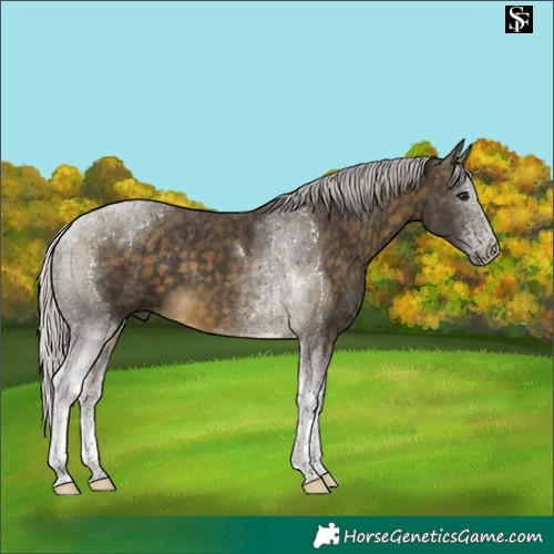 Horse Color:Silver Buckskin Tobiano 