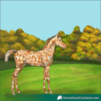 Horse Color:Smoky Creme Dun Splash