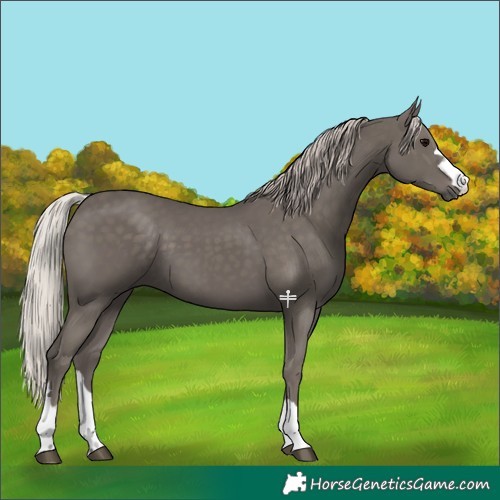 Horse Color:Silver Black 