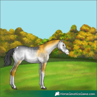 Horse Color:Brown Chinchilla Onyx Tobiano Varnish 
