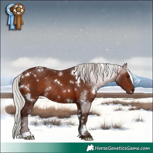 Horse Color:White Spotted Silver Brown Rabicano 