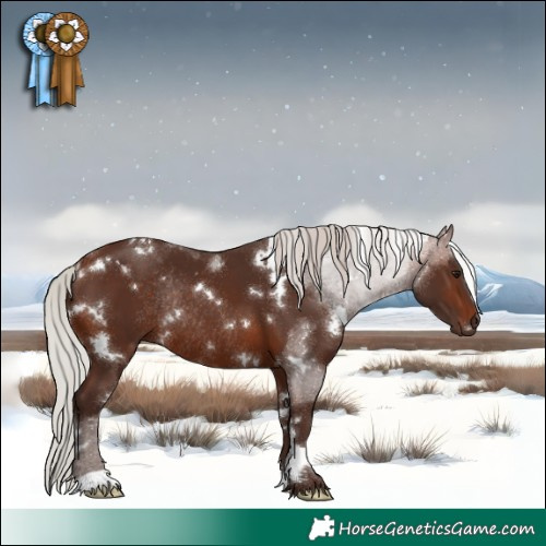 Horse Color:White Spotted Silver Brown Rabicano 