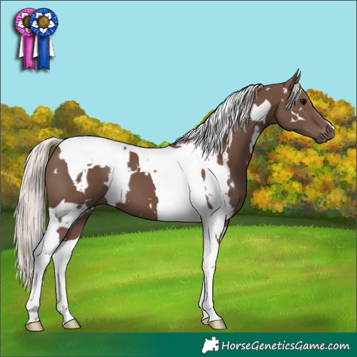 Horse Color:White Spotted Silver Black Tobiano 