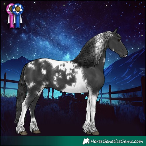 Horse Color:White Spotted Black Tobiano 